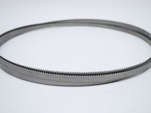 Lamina dentada